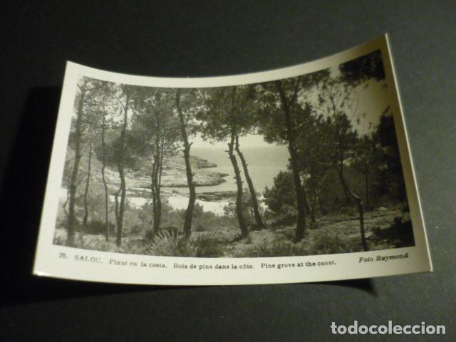 Postcards: SALOU TARRAGONA PINAR EN LA COSTA