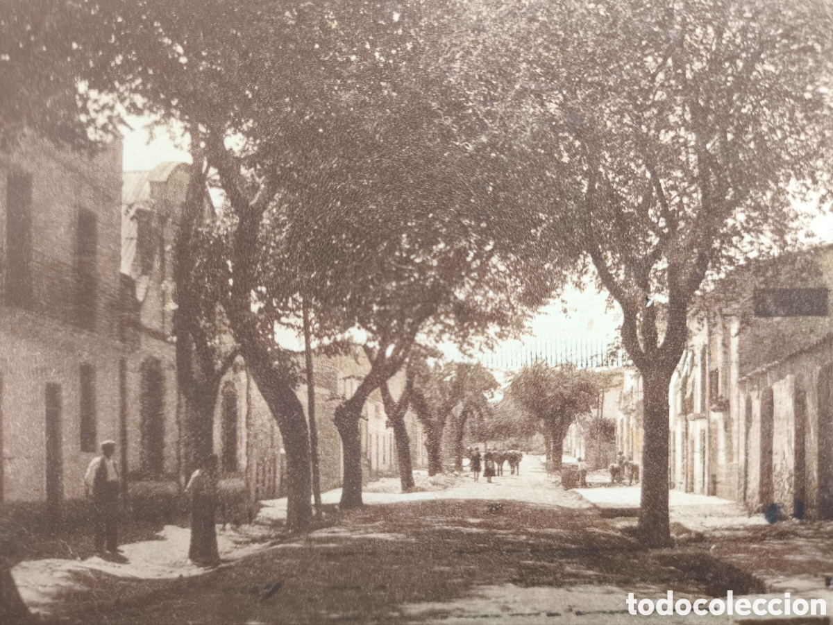 Postales: TREMP CARRER SEIX I FAJA POSTAL CIRCULADA C. 1910