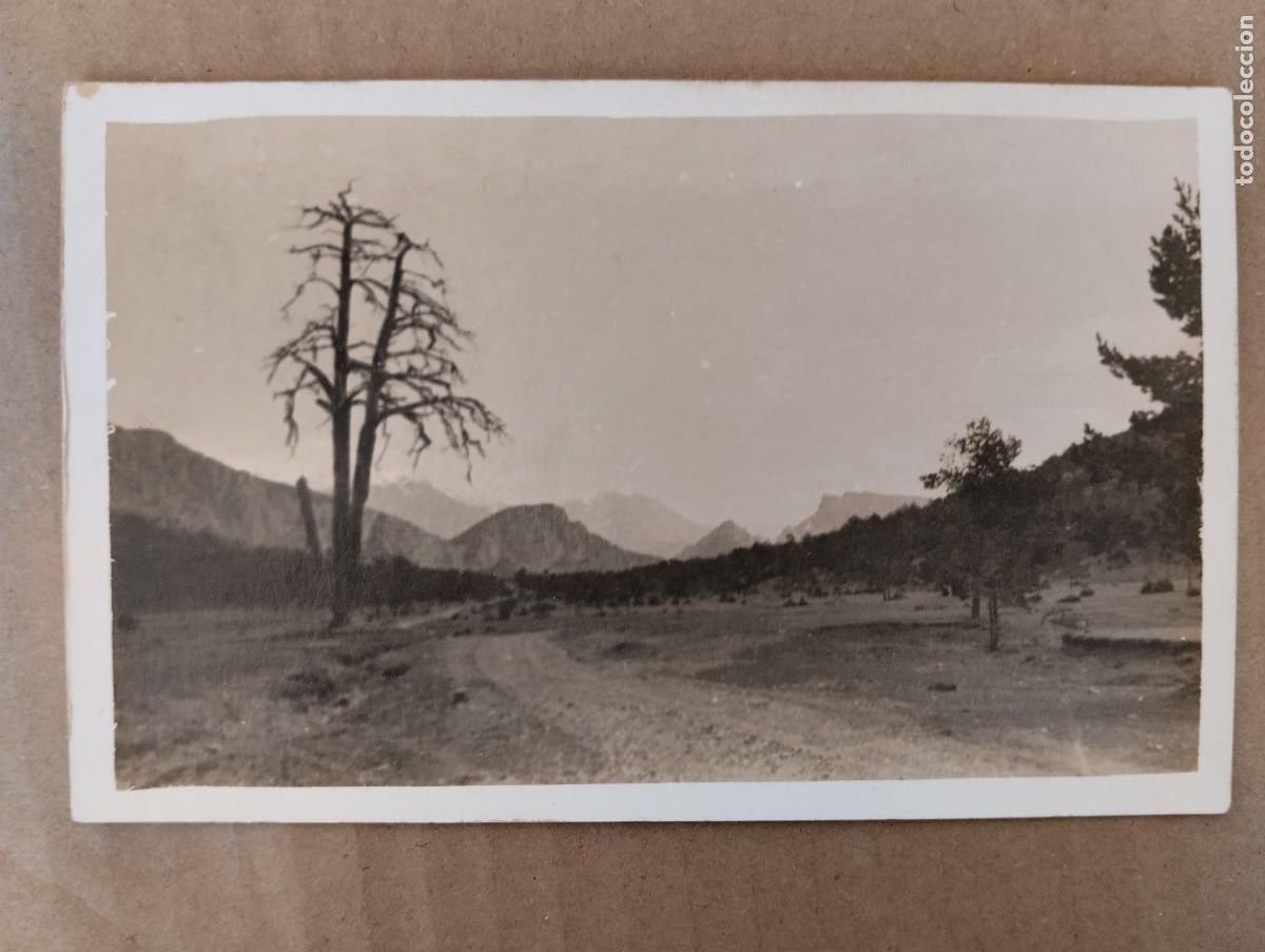 Cartes Postales: POSTAL FOTOGRAFICA BERGA PI TRES BRANQUES CASTELLAR DEL RIU