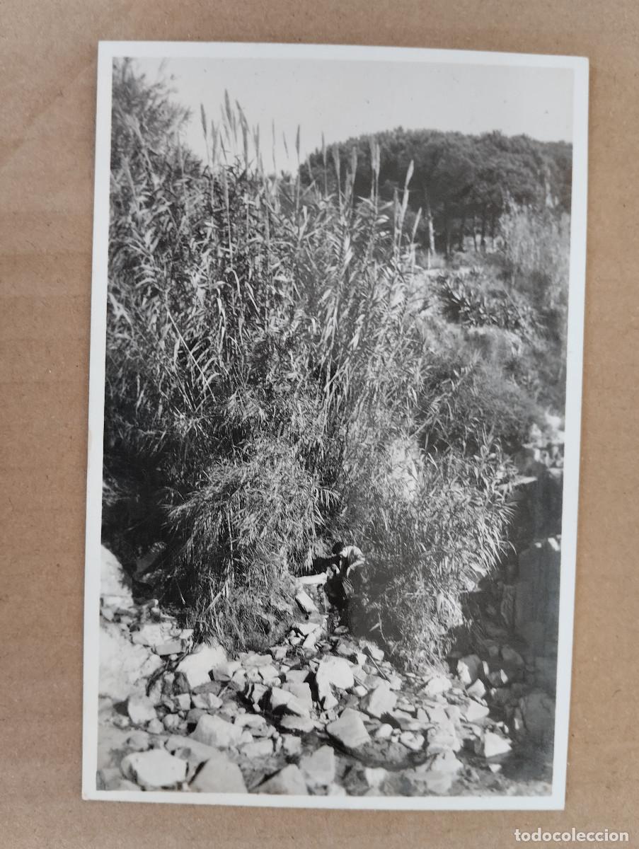 Postales: FOTOGRAFIA ANTIGUA TAMA&Ntilde;O POSTAL LLORET DE MAR FONT DE BANYS