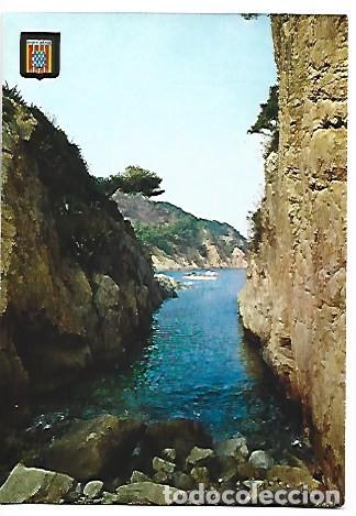 Postales: VIVERO SAN JUAN.- BLANES