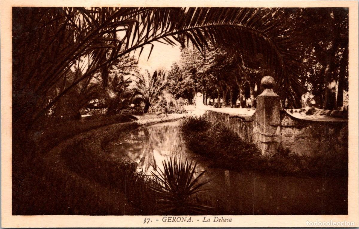 Postales: Gerona - La Dehesa - Roisin 37 - 138x88mm