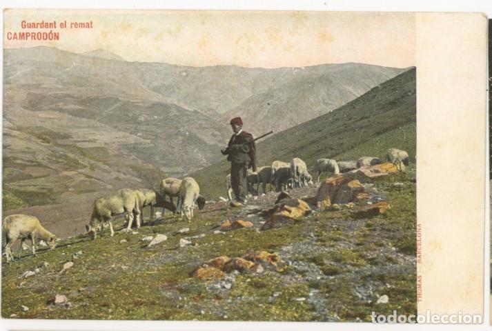 Postales: a11447 Camprodon Guardant El Remat Thomas sc reverso sin dividir