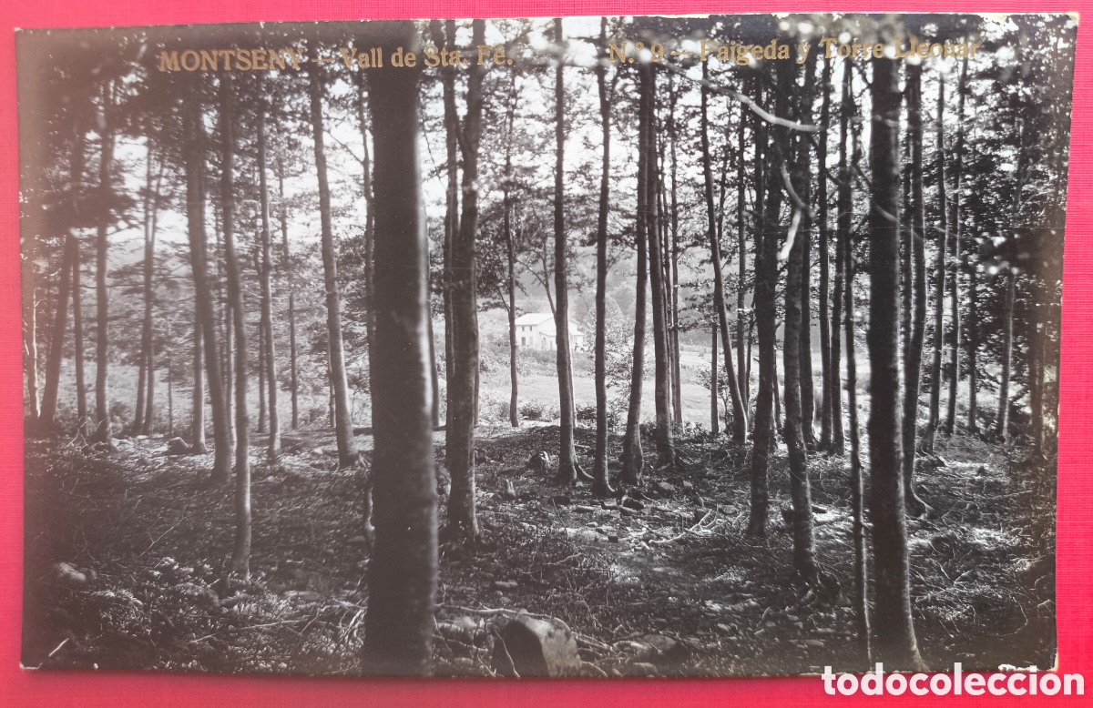 Postales: MONTSENY VALL STA. F&Eacute; FAGEDA TORRE LLEOPAR POSTAL FOTOGR&Aacute;FICA C. 1920