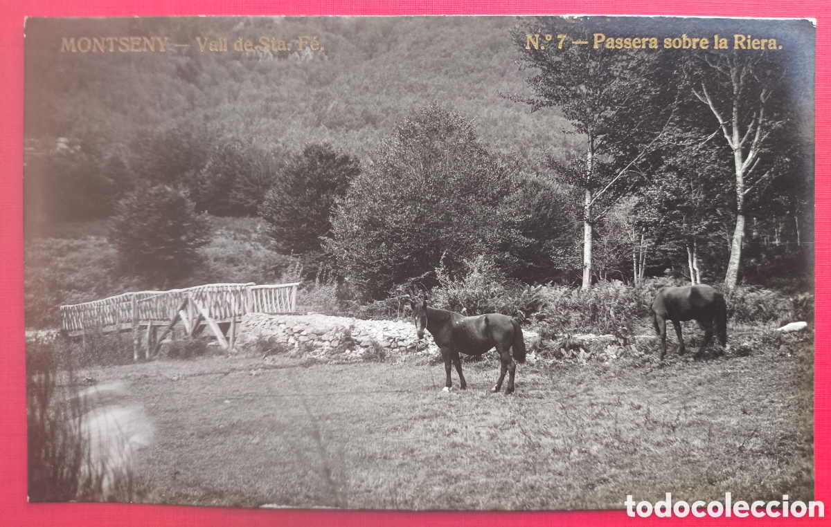 Postales: MONTSENY VALL STA. F&Eacute; PASSERA SOBRE LA RIERA POSTAL FOTOGR&Aacute;FICA C. 1920