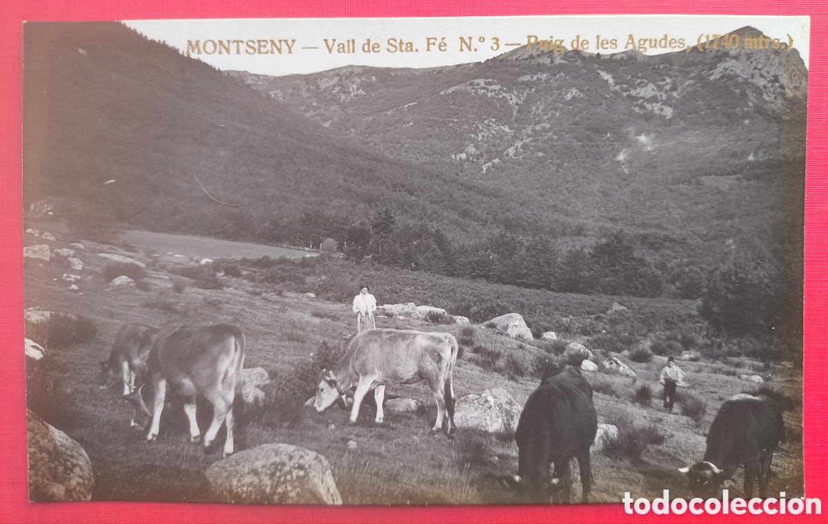 Postales: MONTSENY VALL STA. F&Eacute; PUIG DE LES AGUDES POSTAL FOTOGR&Aacute;FICA C. 1920