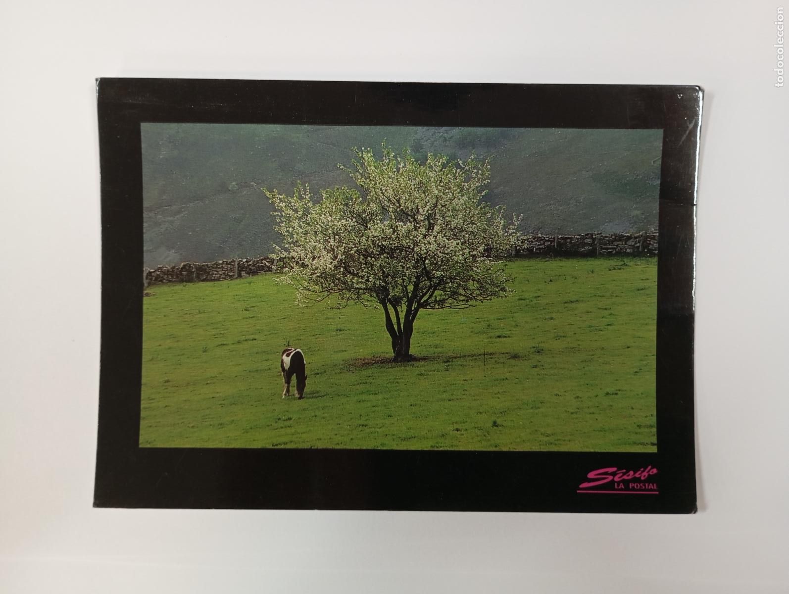 Postales: POSTAL DE ESPA&Ntilde;A. TDKP30F