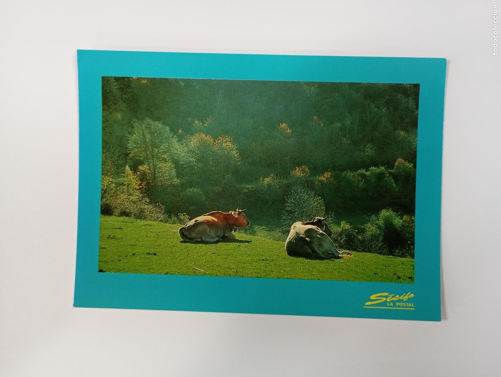 Postales: POSTAL DE ESPA&Ntilde;A. TDKP30F