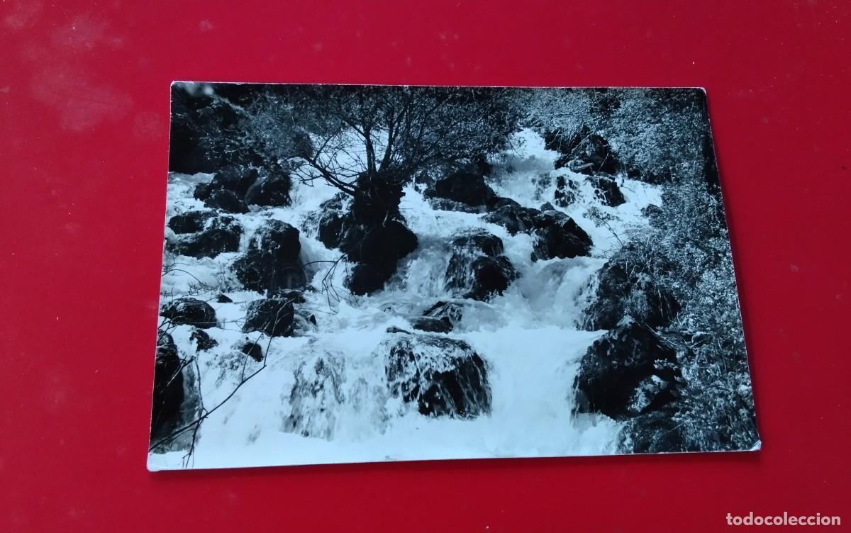 Postales: LA COMA , POSTAL ANTIGUA , BLANCO Y NEGRO