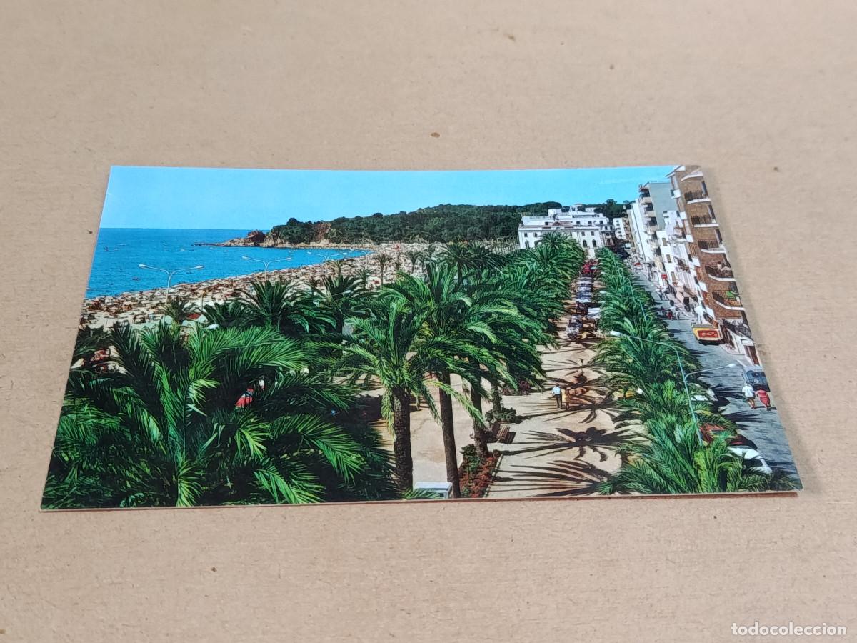 Postales: LA SELVA - POSTAL LLORET DE MAR - PASEO