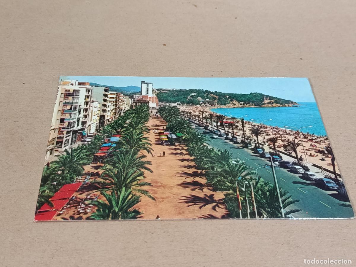 Postales: LA SELVA - POSTAL LLORET DE MAR - PASEO MN. JACINTO VERDAGUER