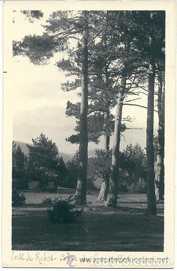 Postkarten: 6023 - ANTIGUA POSTAL VALLS DE RIBES - BOSC DE CAMPELLES - ANTIGUA POSTAL FOTOGR&Aacute;FICA