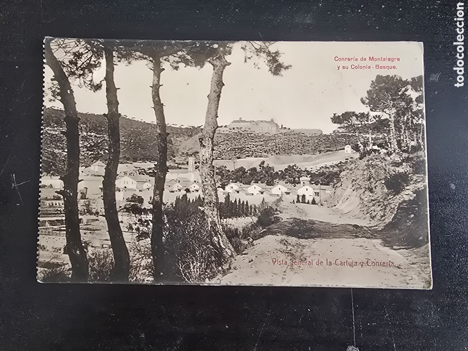 Postales: POSTAL CONRER&Iacute;A DE MONTALEGRE Y SU COLONIA BOSQUE. TIANA
