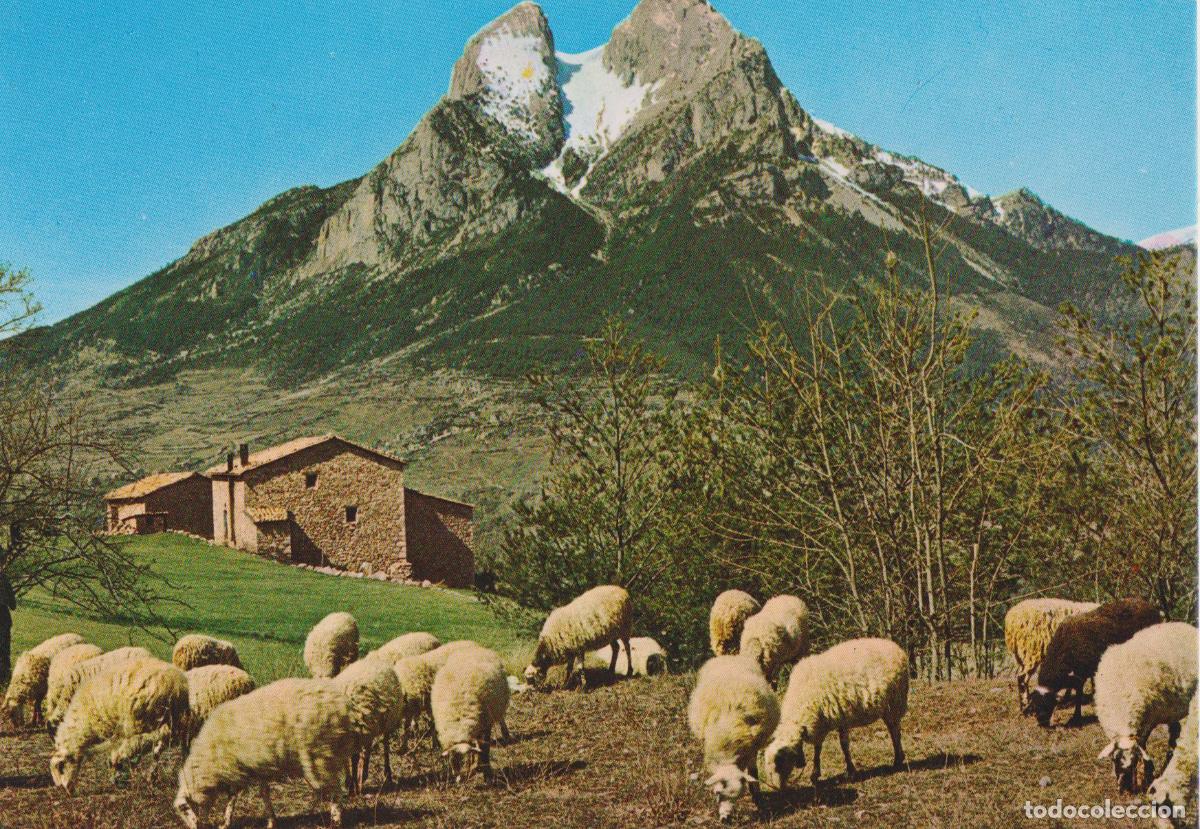 Postales: SALDES (BARCELONA) PEDRAFORCA (2.498 m.) - CLIS&Eacute; CINE FOTO LUIGI N&ordm;3064 - S/C