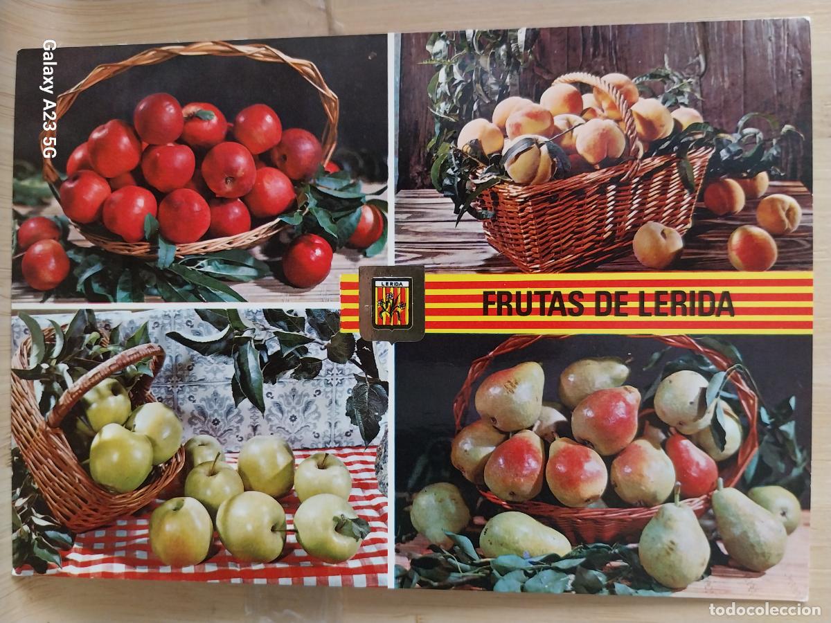 Postales: FRUTAS DE LERIDA ED FISA H 92 ESCRITA