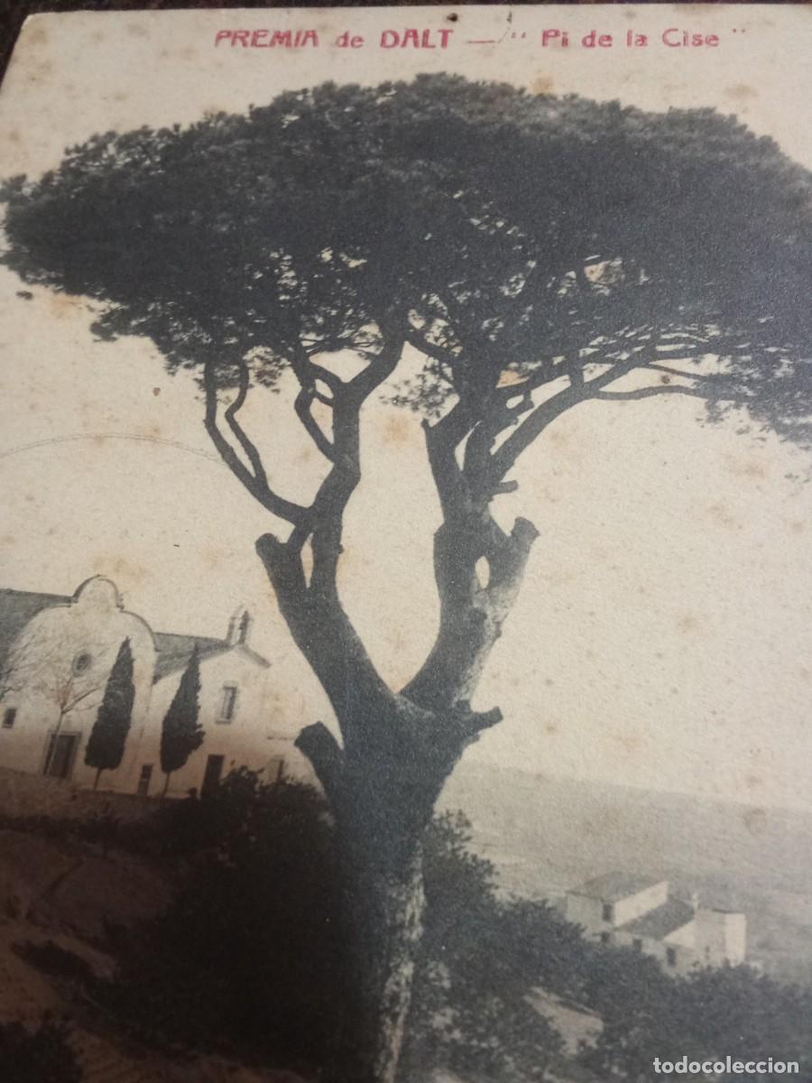 Postales: Premi&agrave; de Dalt.Pi de la Cise/ Cisa. - Foto 2
