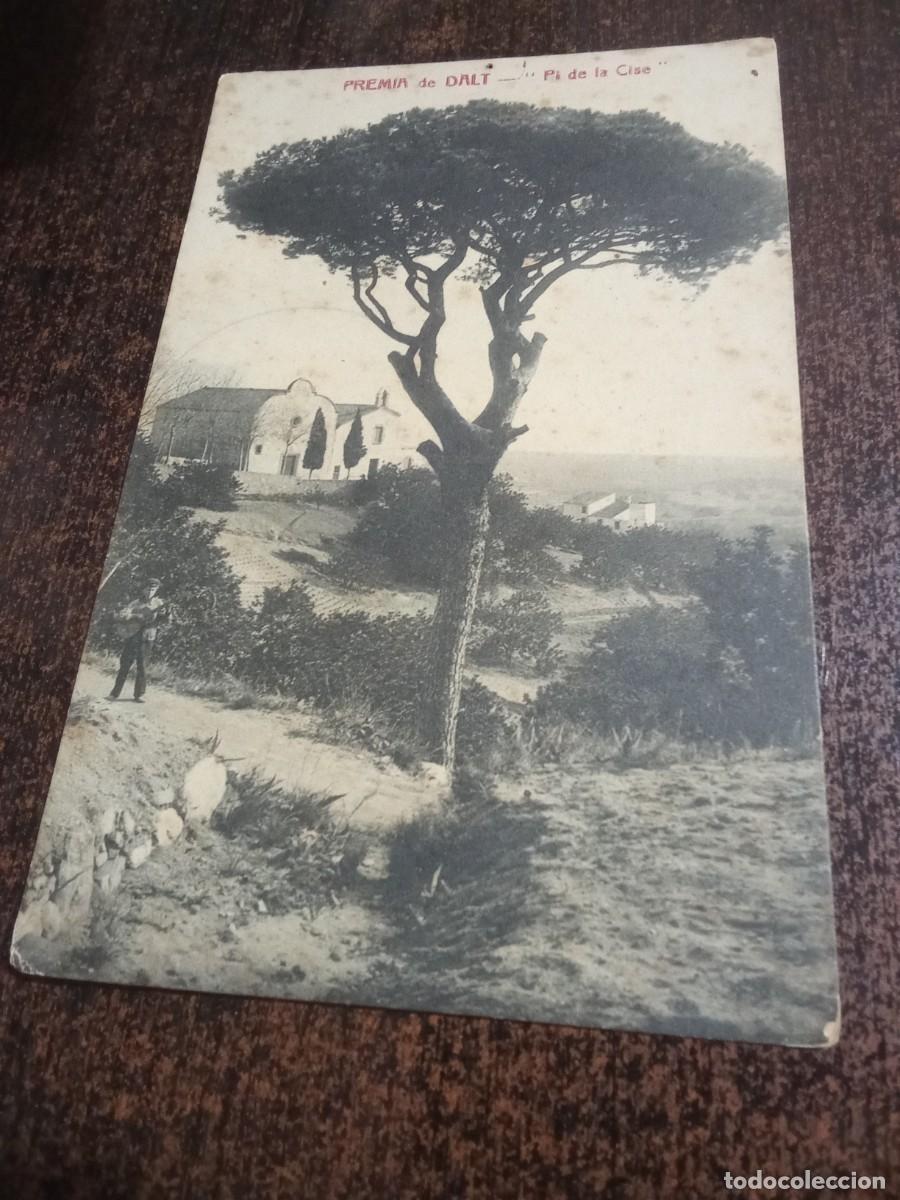 Postales: Premi&agrave; de Dalt.Pi de la Cise.