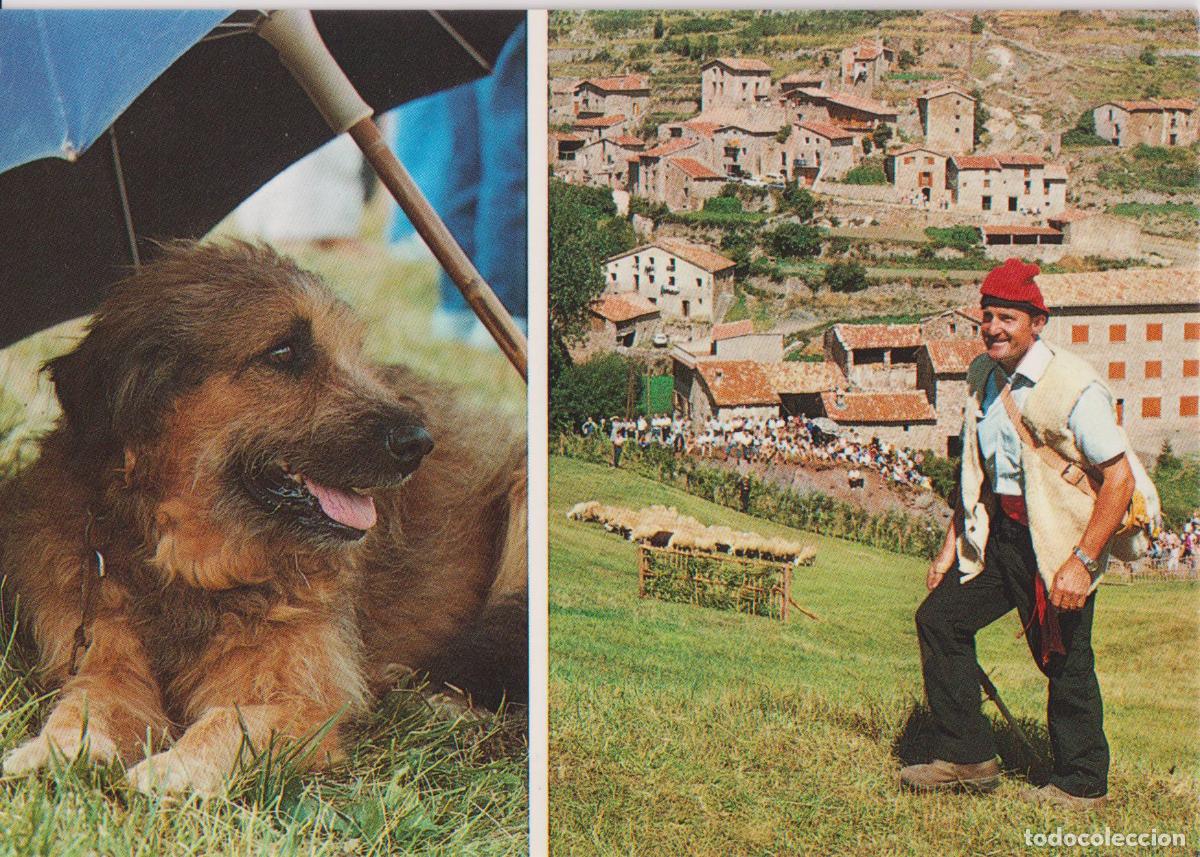 Postales: CASTELLAR DE N'HUG (BARCELONA) CONCURS DE GOSSOS D'ATURA - EXCL. JOAN ARMENGOU N&ordm;10 - S/C