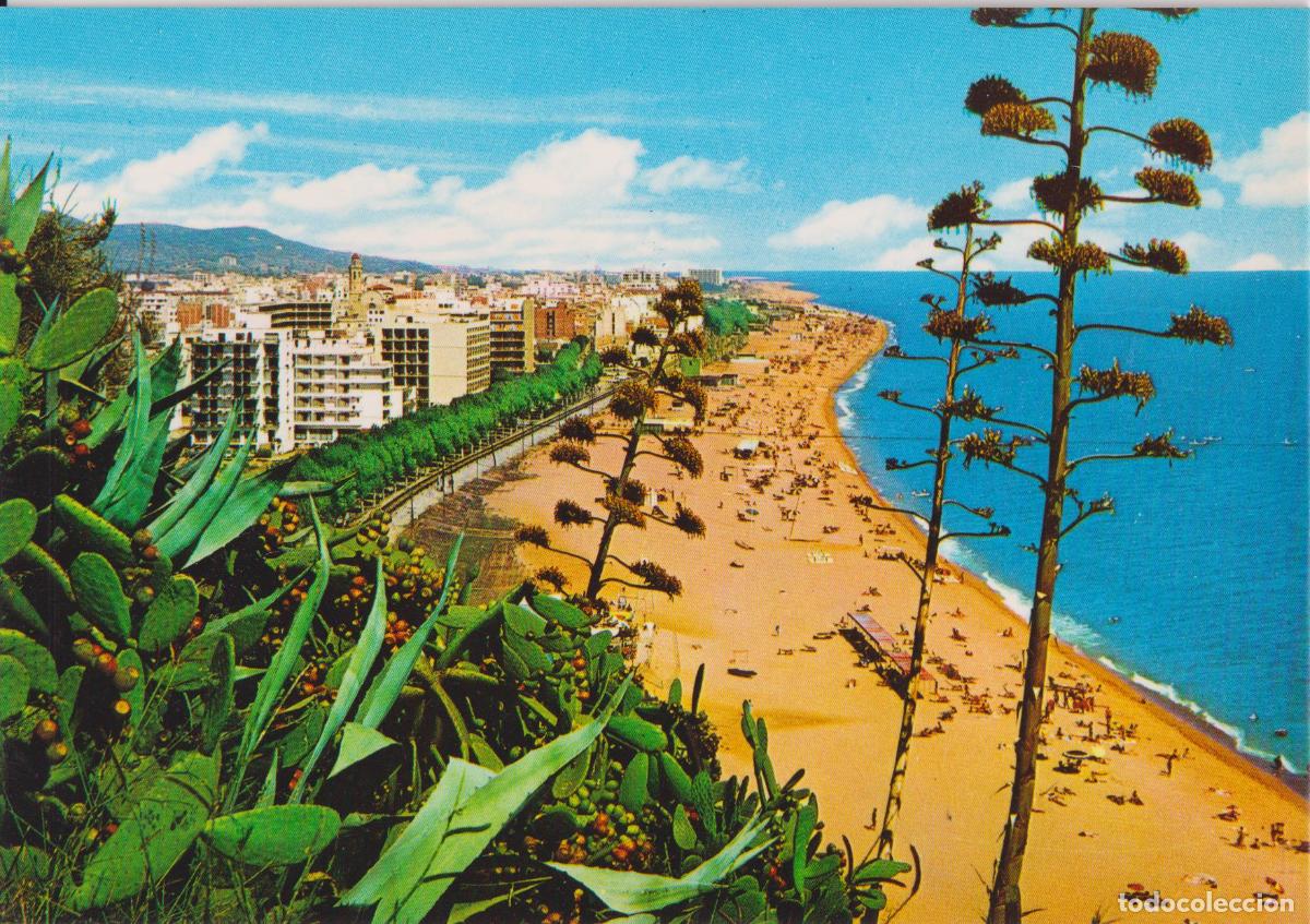 Postales: CALELLA DE LA COSTA (BARCELONA) VISTA PARCIAL DESDE EL FARO - V.C.ED.FABREGAT N&ordm;634 - S/C