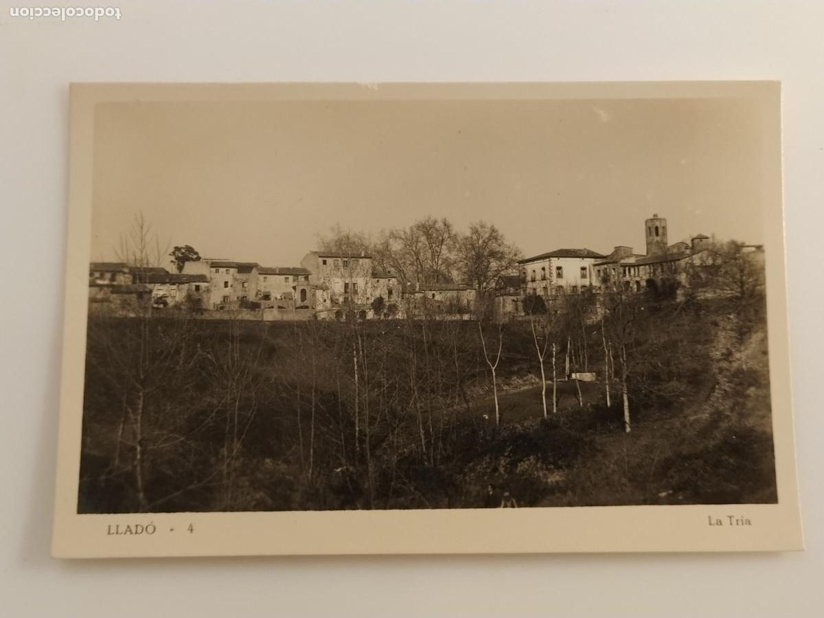 Postales: LLAD&Oacute; - LA TRIA - FOTOGRAFICA - POSTAL ANTIGUA DE LLADO (116.820)