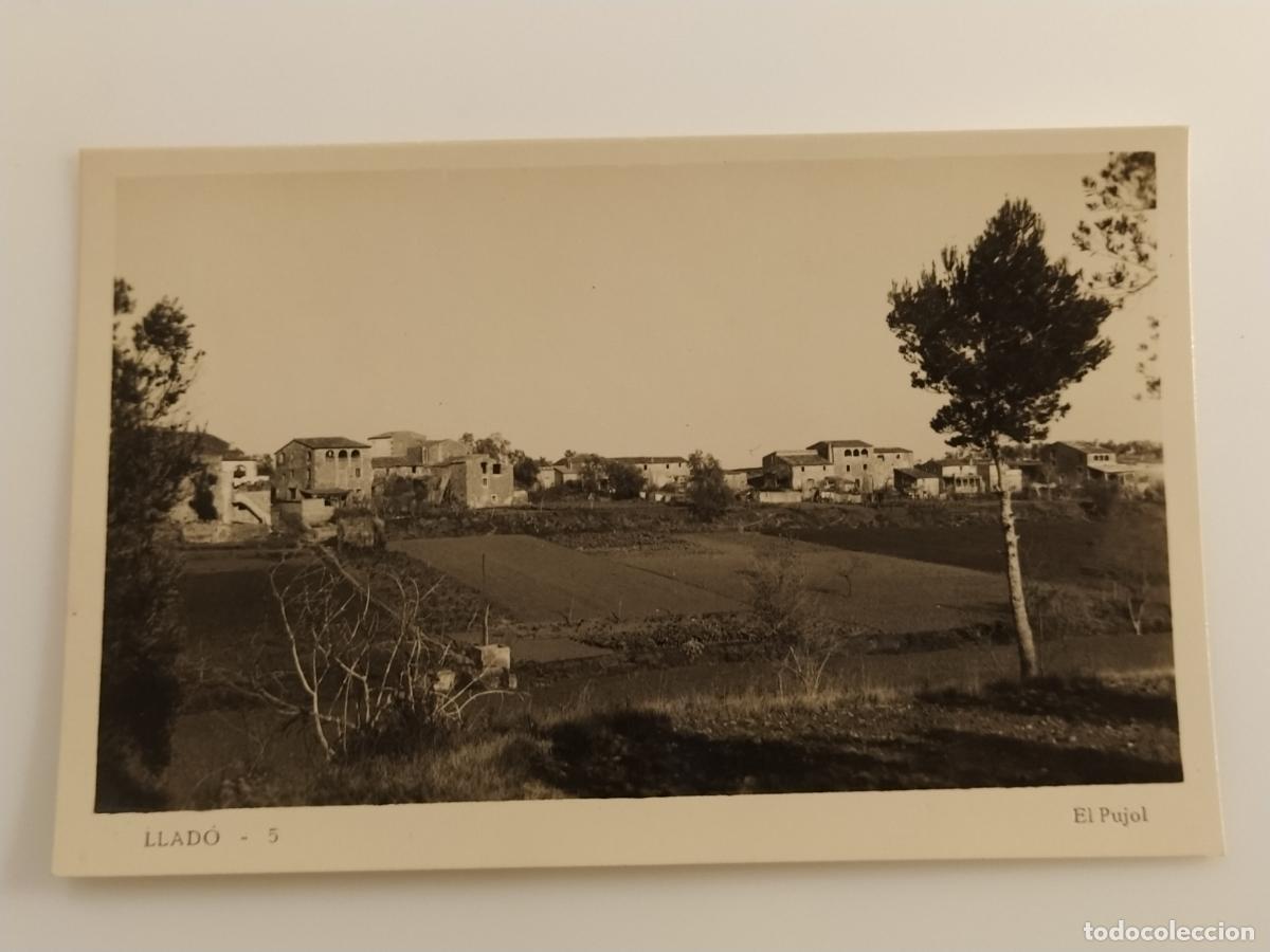 Postales: LLAD&Oacute; - EL PUJOL - FOTOGRAFICA - POSTAL ANTIGUA DE LLADO (116.821)
