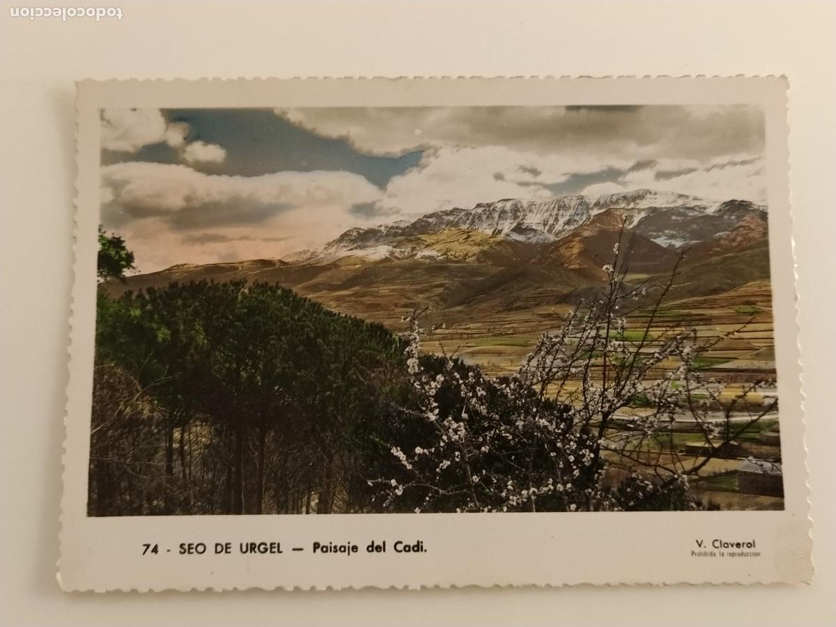 Postales: LA SEU D'URGELL - PAISAJE DEL CADI - FOTO V. CLAVEROL - POSTAL ANTIGUA (116.829)