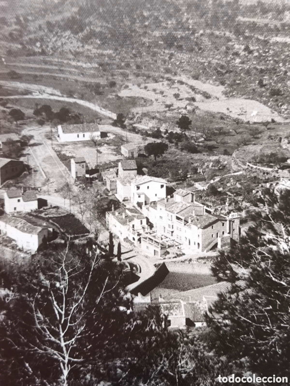 Postales: VACARISSES POSTAL FOTOGR&Aacute;FICA BAG&Egrave;S C. 1955