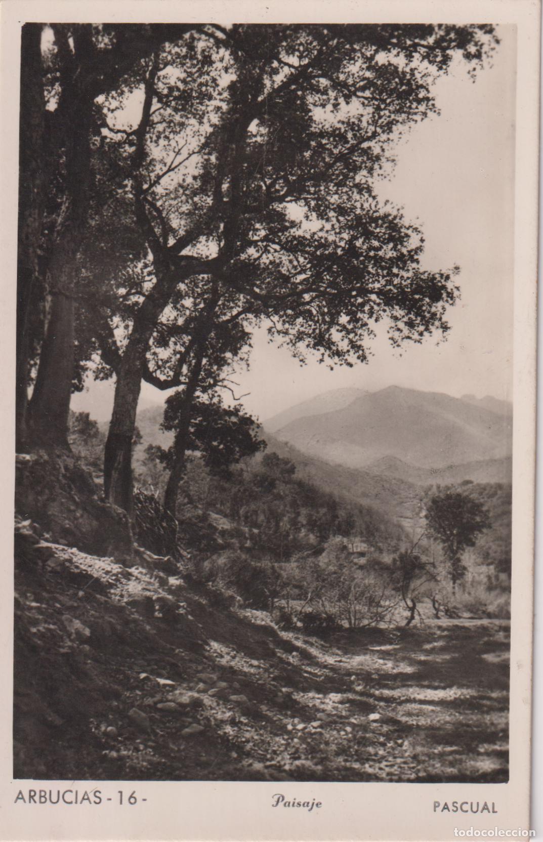 Postales: ARBUCIES (GIRONA) PAISAJE &ndash; PASCUAL N&ordm;16 &ndash; CIRCULADA 1956
