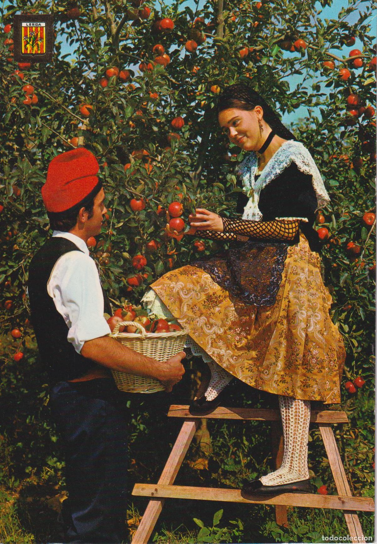 Postales: LLEIDA, PAREJA T&Iacute;PICA Y FRUTAS DE LLEIDA - ESCUDO DE ORO N&ordm;143 - S/C