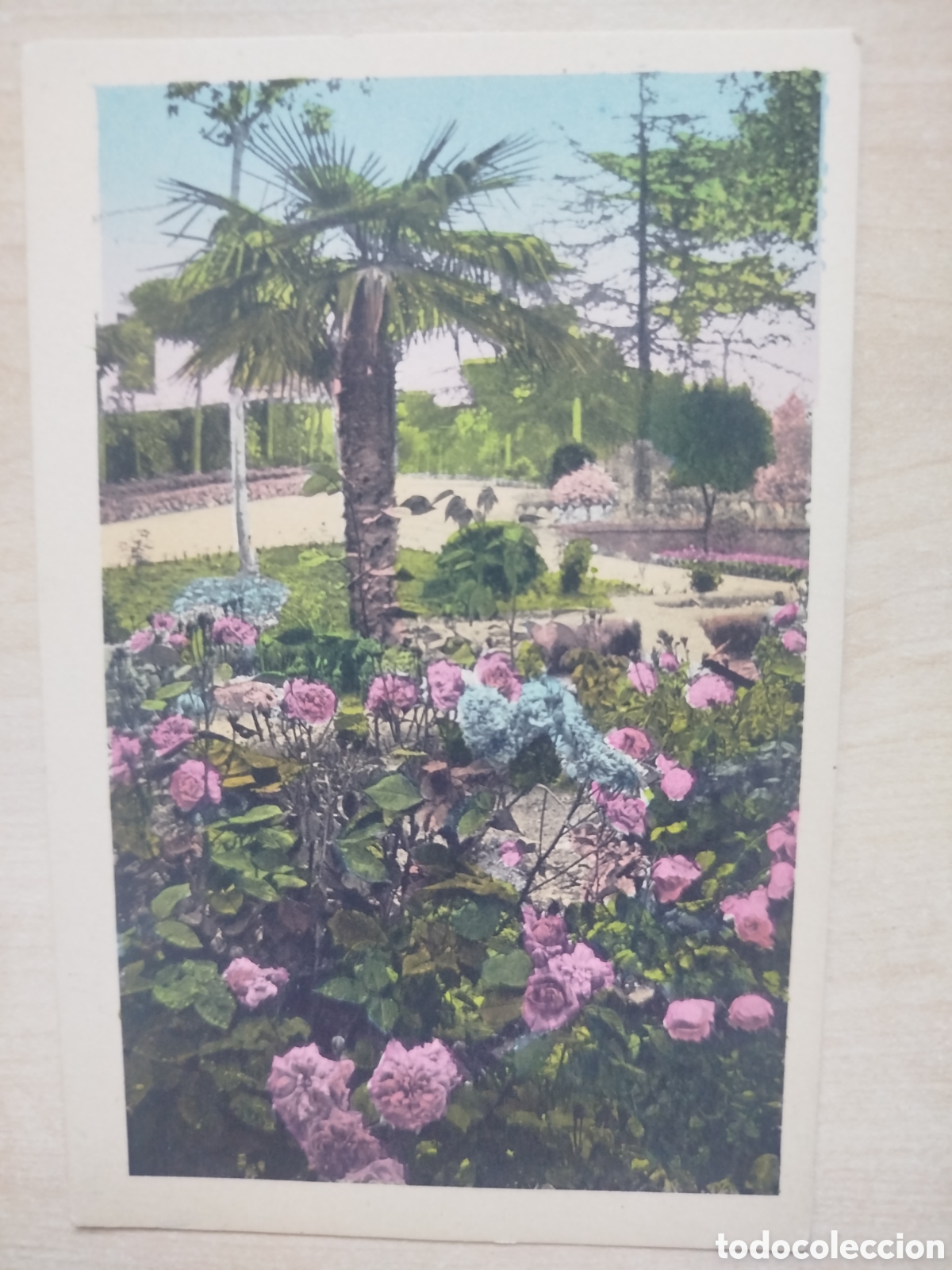 Postales: Postal. Caldes de Malavella, Balneario Vichy Catal&aacute;n