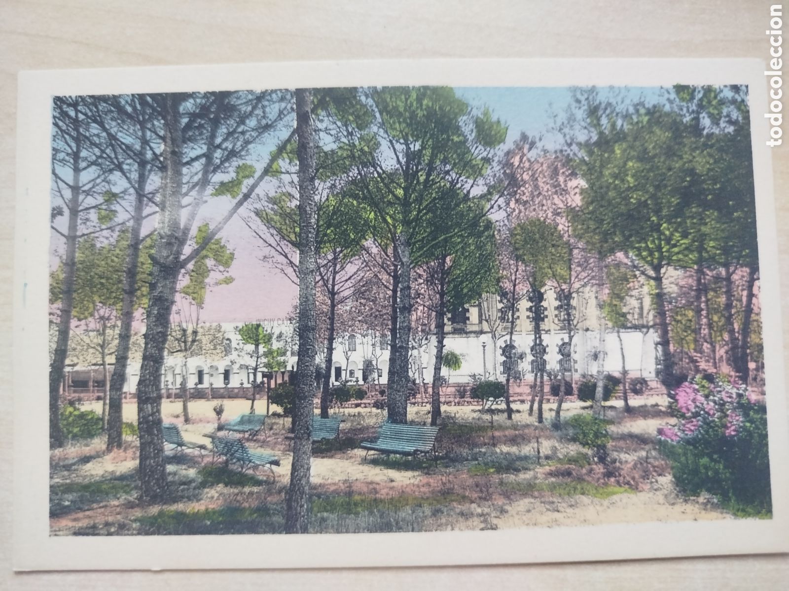Postales: Postal. Caldes de Malavella, Balneario Vichy Catal&aacute;n