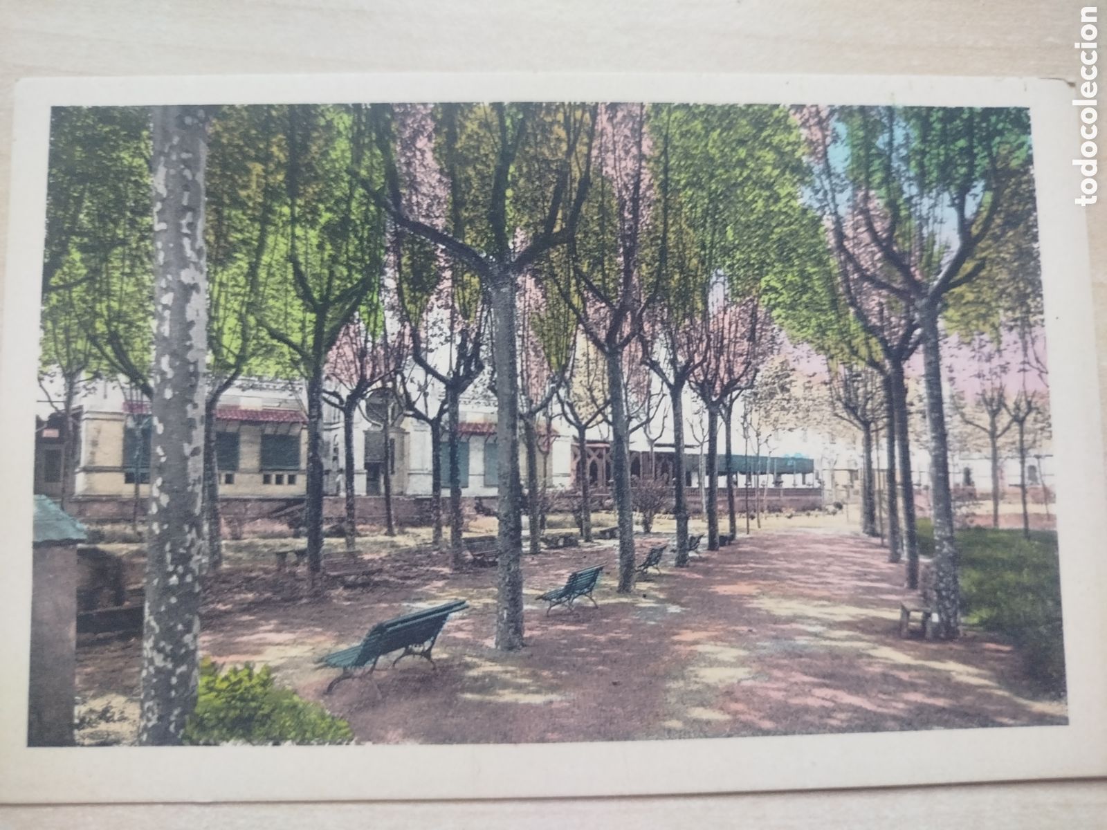 Postales: Postal. Caldes de Malavella, Balneario Vichy Catal&aacute;n