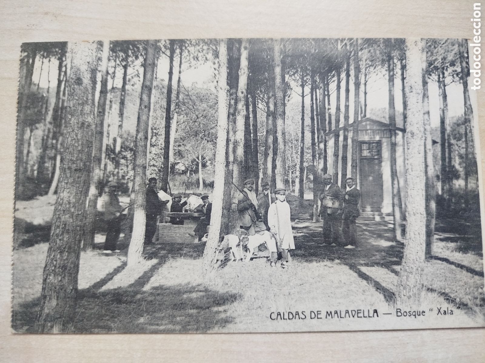 Postales: Postal. Caldes de Malavella, Bosque Xala