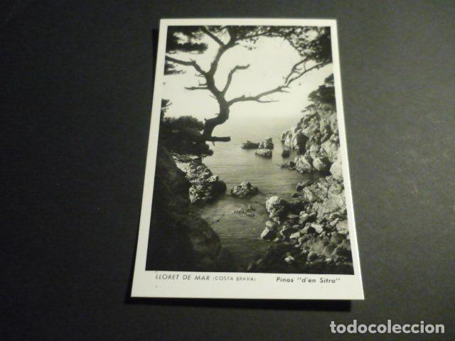 Postales: LLORET DE MAR GERONA PINOS D&acute;EN SITRA - Foto 1
