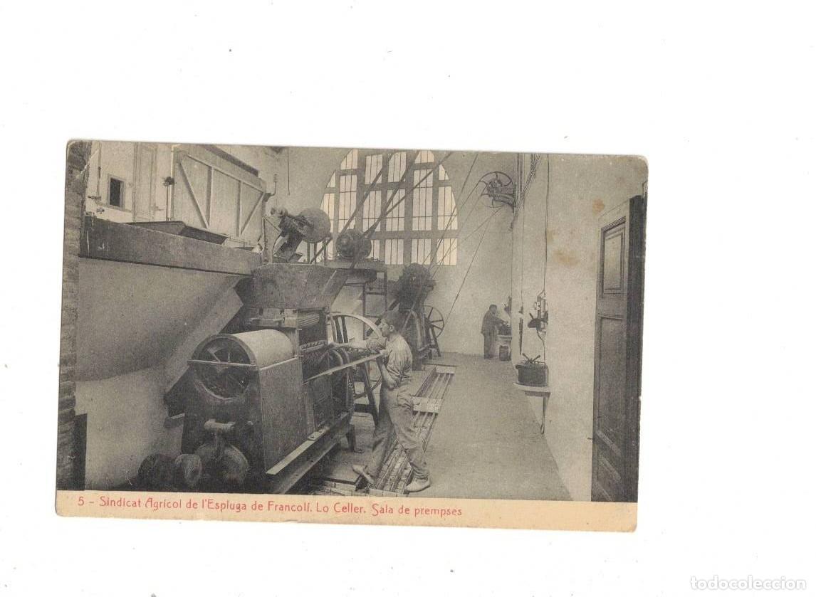 Postales: ESPLUGA DE FRANCOL&Iacute;. SINDICAT AGRICOL. LO CELLER