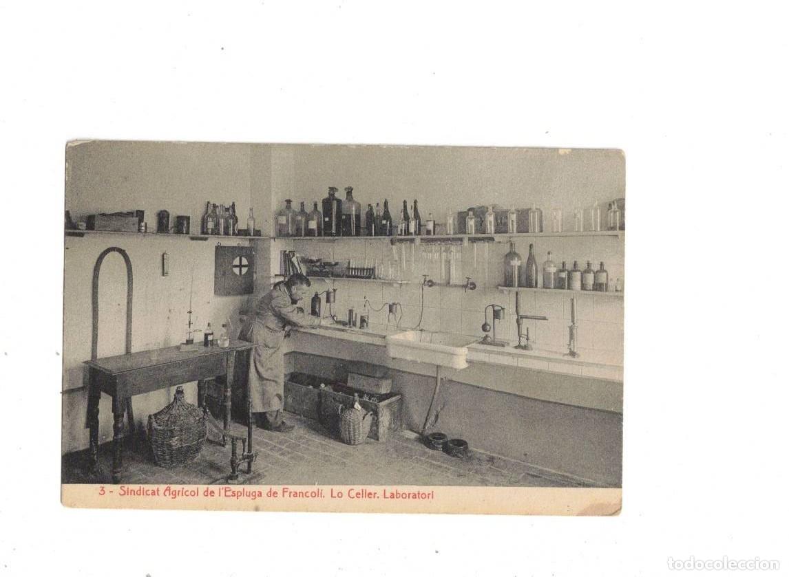 Postales: ESPLUGA DE FRANCOL&Iacute;. SINDICAT AGR&Iacute;COL. LABORATORI