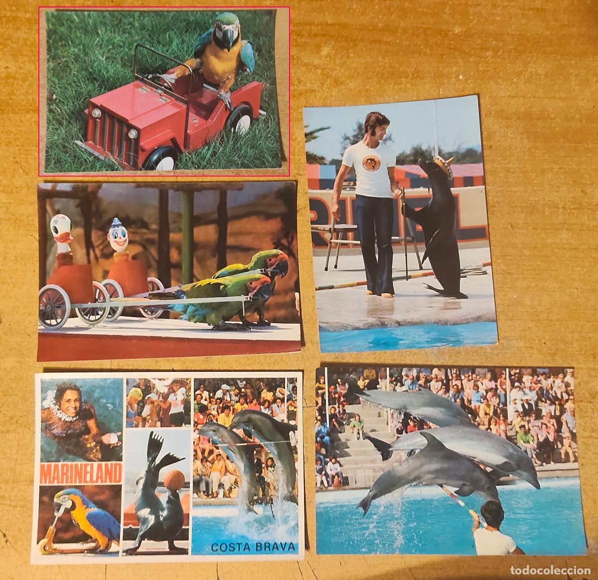 Postales: 5 postales Marineland parque acuatico oceonografic de Palafolls Catalun&ntilde;a 5 postales