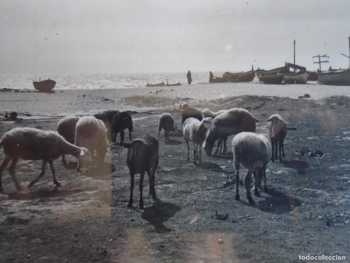 Postales: (PS-80789)POSTAL DE CALELLA-PLAYA - Foto 3