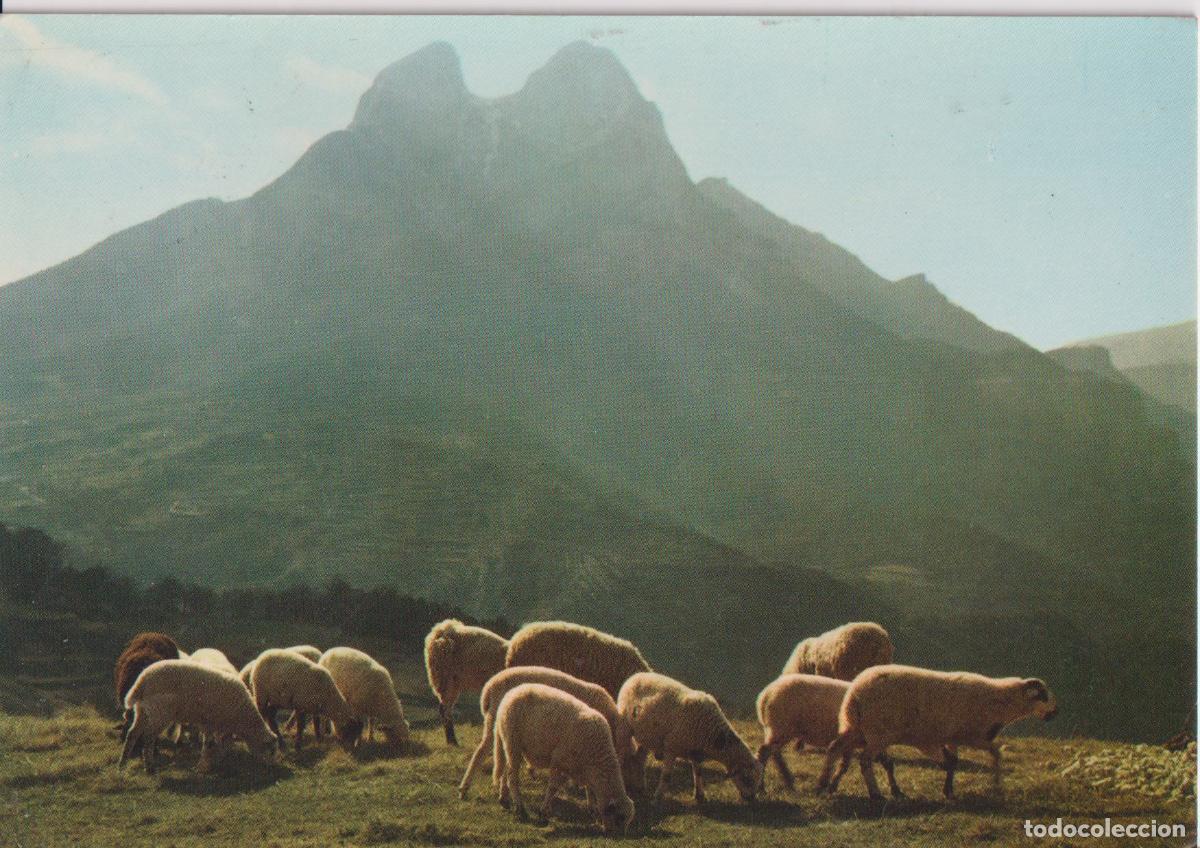Postales: SALDES (BARCELONA) PEDRAFORCA - CLIS&Eacute; FOTO CINE LUIGI 181 - CIRCULADA