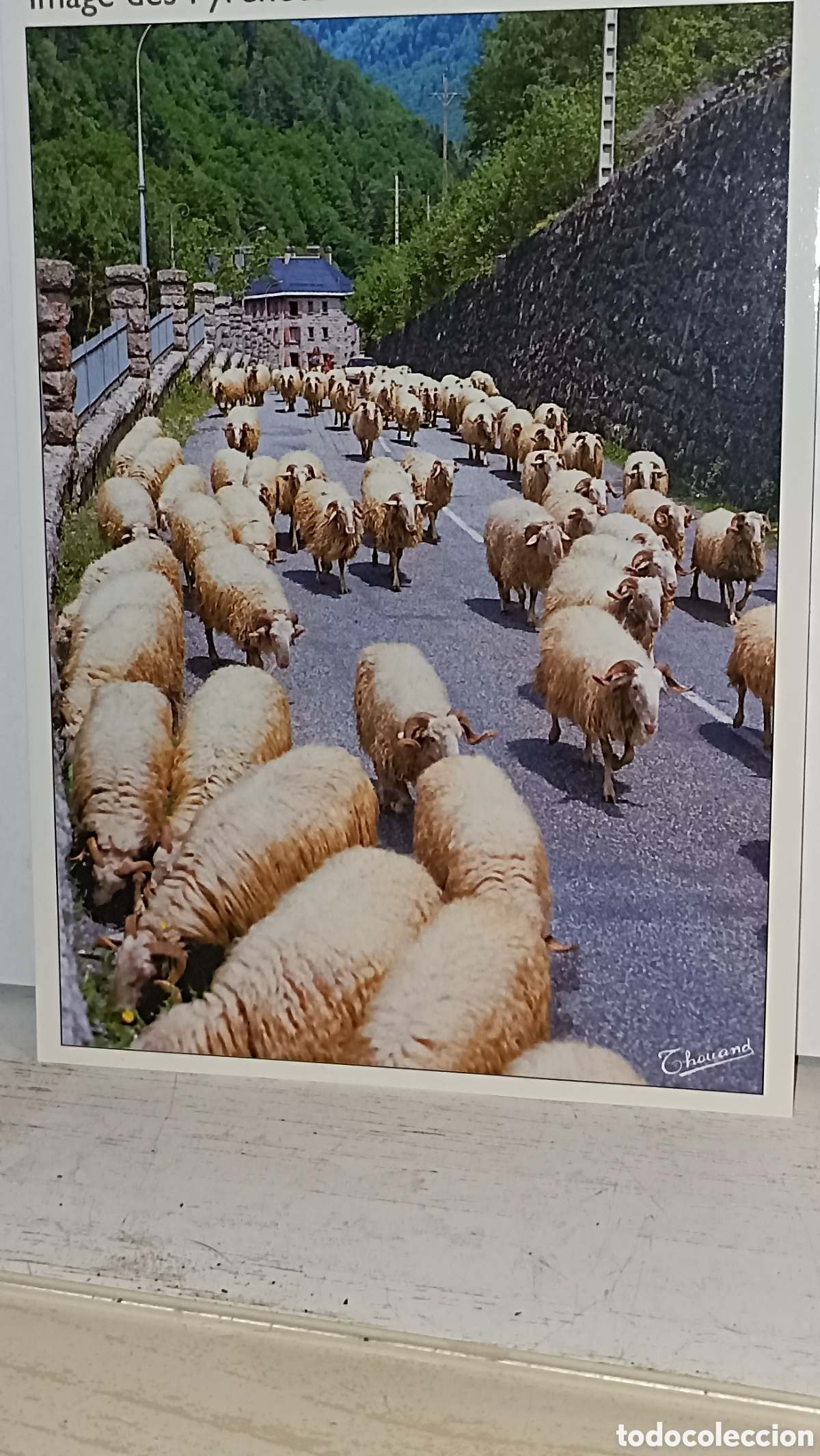 Postales: Mint imagen de Pirineos valle de ossau