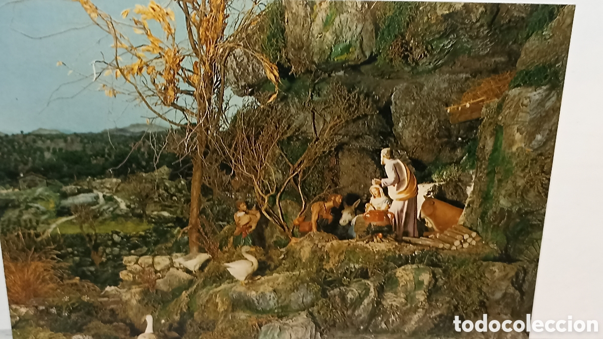 Postales: MINT!! Matar&oacute; pesebre monumental 25 m