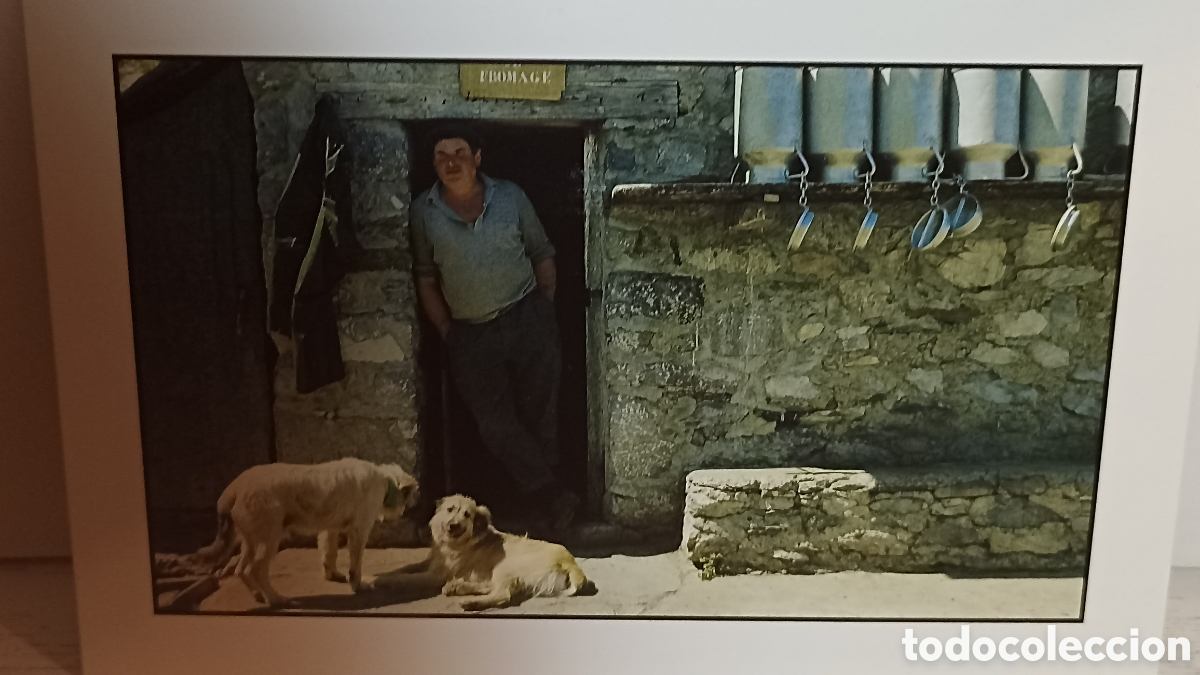 Postales: MINT. Le Berger. Catalunya