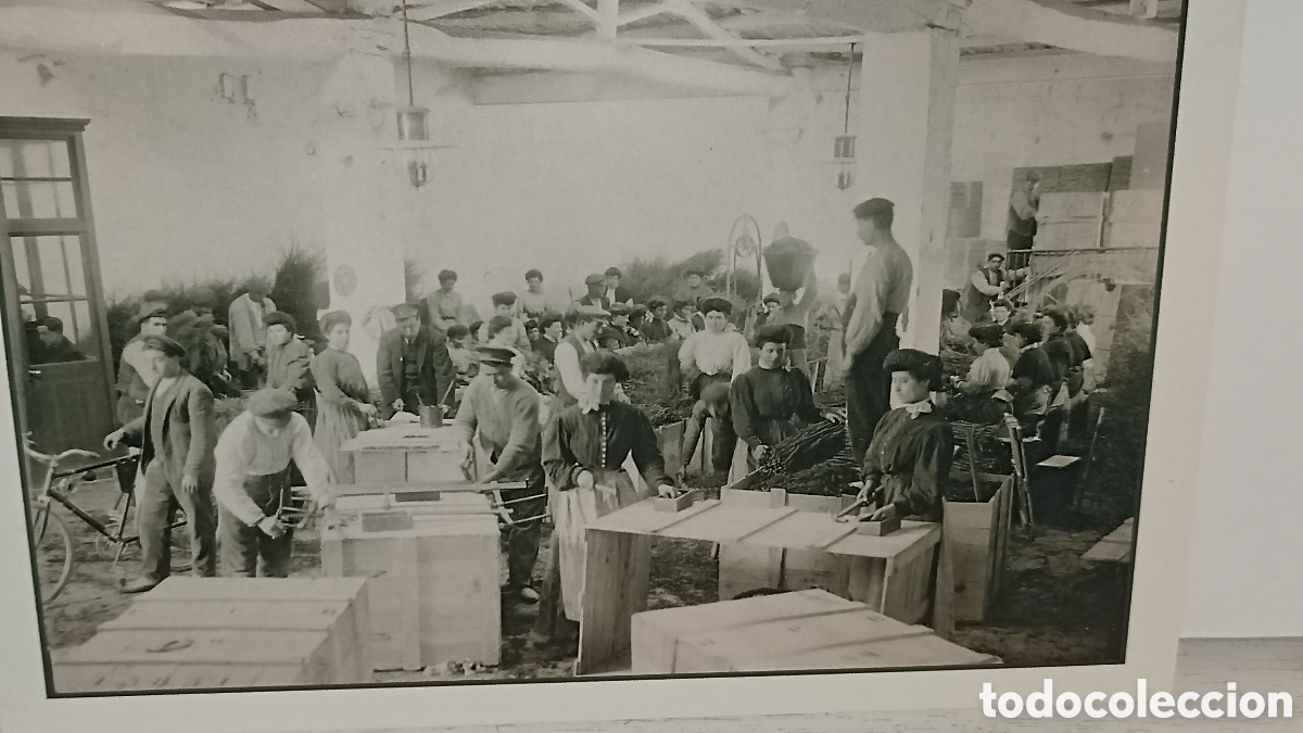 Postales: MINT 17/12 cm los trabajadores de centro m&iacute;ticola de Pened&eacute;s 1905