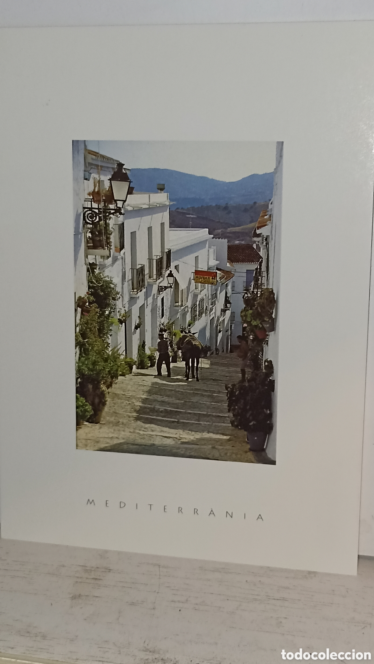 Postales: MINT las im&aacute;genes de Mediterr&aacute;neo