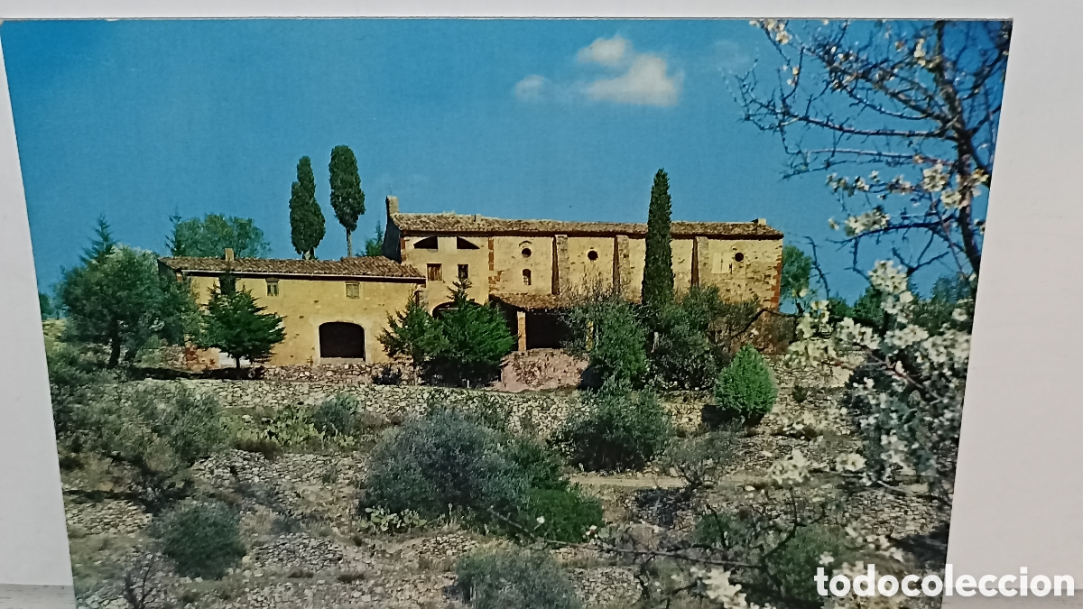 Postales: Mint el m&aacute;s robich Tarragona las Pinieres
