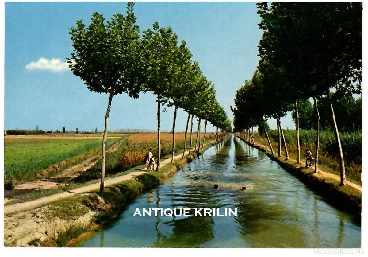 Postales: TARRAGONA / DELTA DEL RIO EBRO , CANAL DE RIEGO / EDICION BOLU&Ntilde;A / SIN FRANQUEAR
