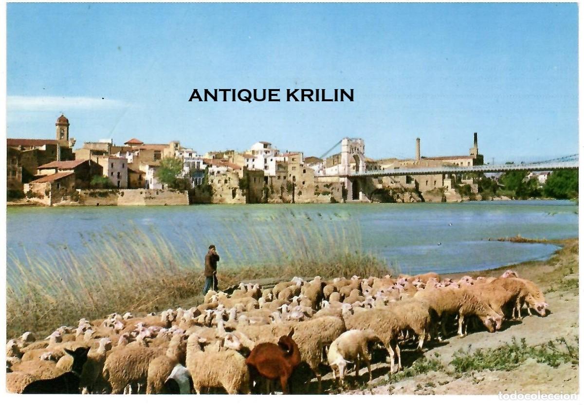 Postales: TARRAGONA / AMPOSTA N&ordm; 6 VISTA PARCIAL DESDE EL RIO EBRO / SOBERANAS - LIB. ROIG / SIN FRANQUEAR