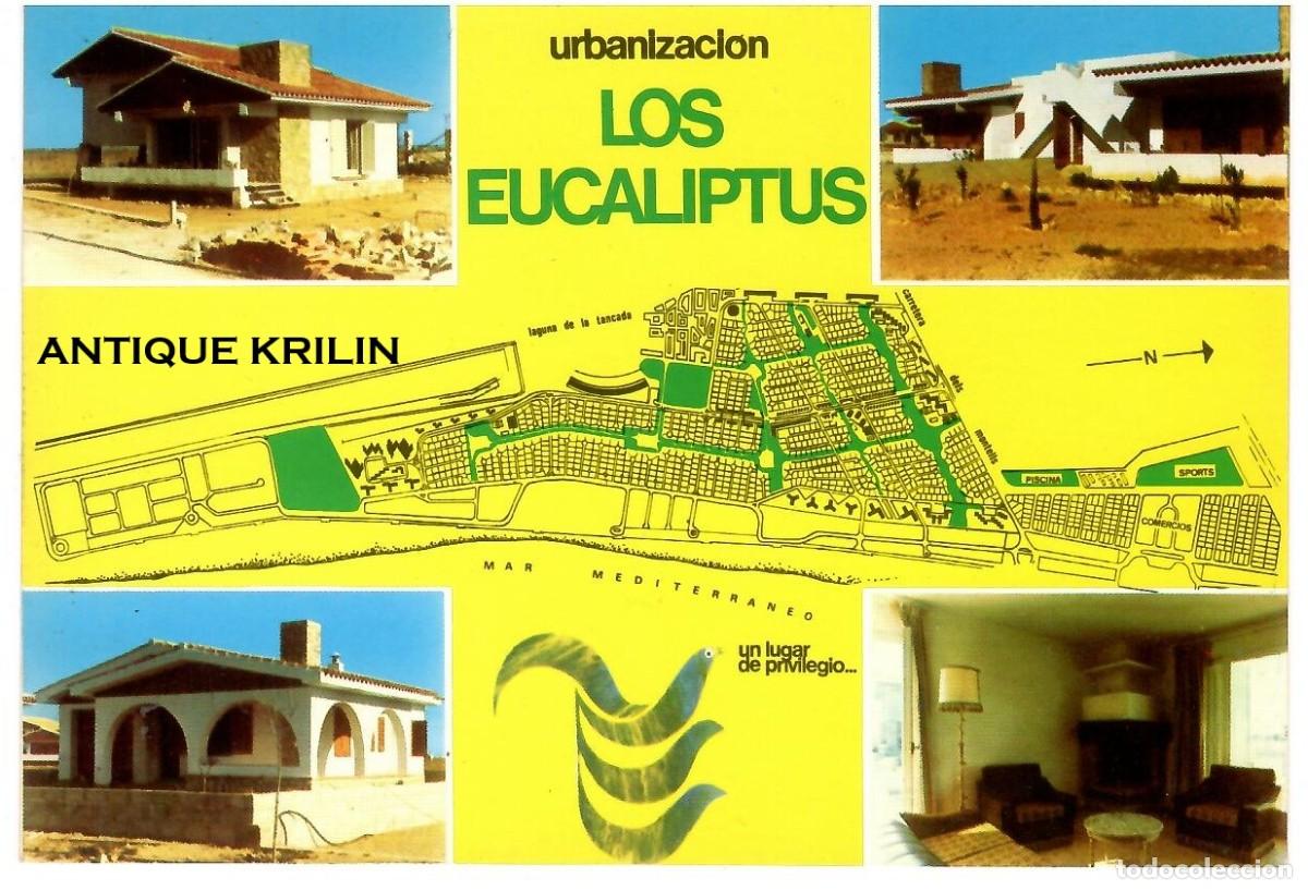 Postales: TARRAGONA / AMPOSTA / URBANIZACION LOS EUCALIPTOS /EDICION MAPRA / SIN FRANQUEAR