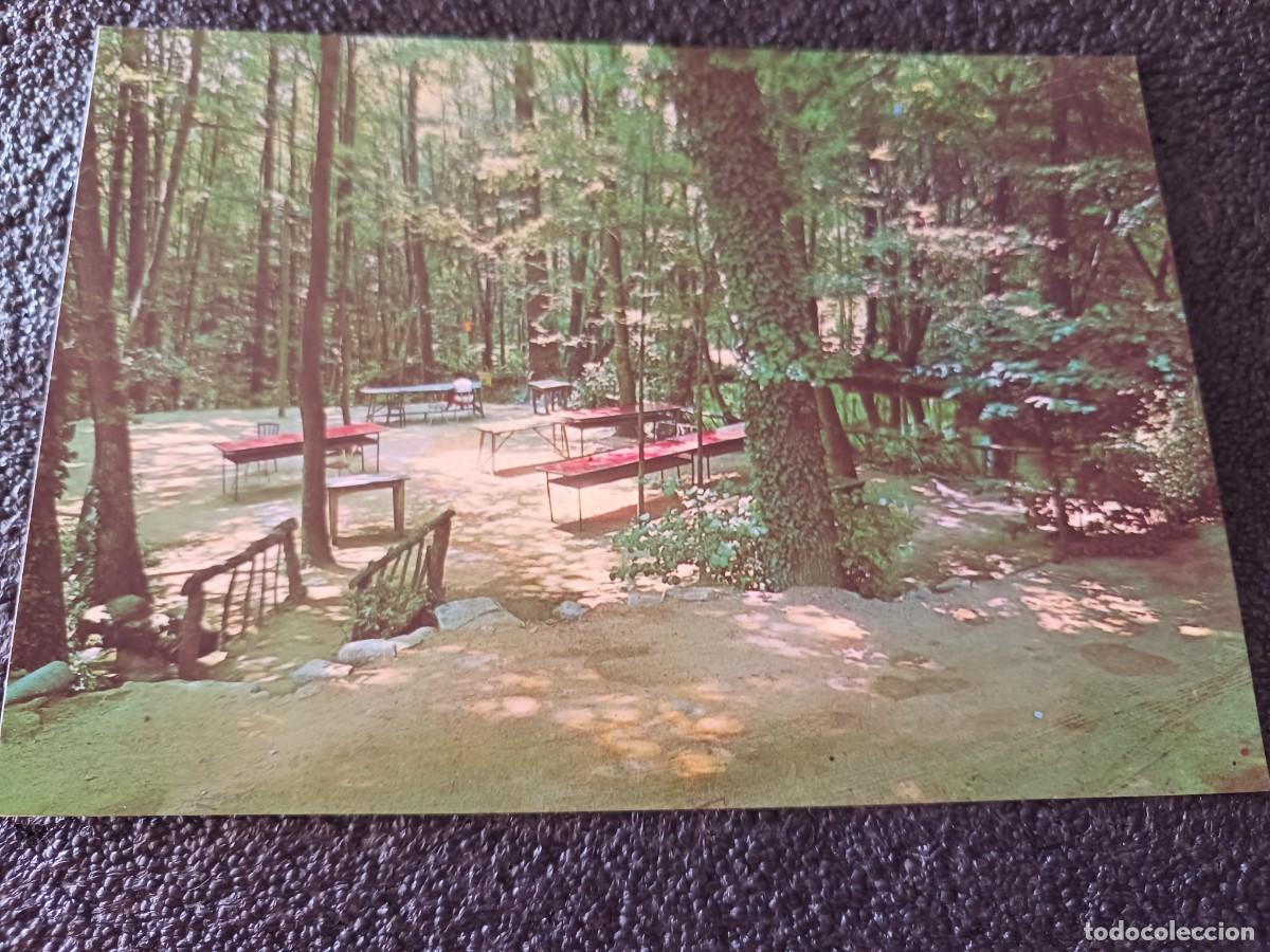 Postales: RIELLS DEL MONTSENY HOSTAL MARLET, MENJADOR D`ESTIU 1968