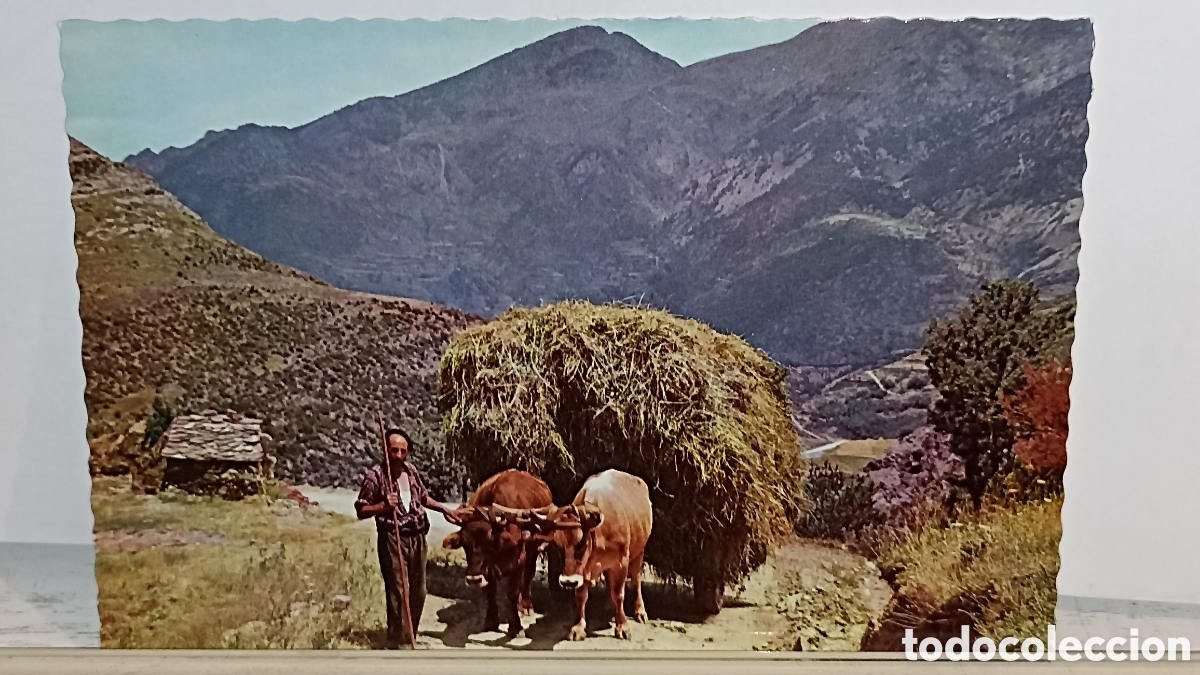 Postales: Precioso postal vintage a&ntilde;os sesenta carretera de canolish Principado de Andorra